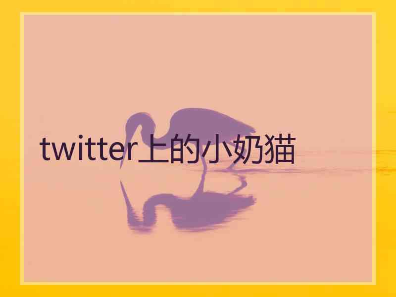 twitter上的小奶猫