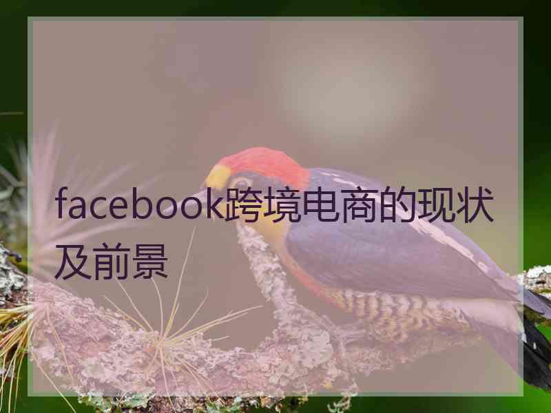 facebook跨境电商的现状及前景