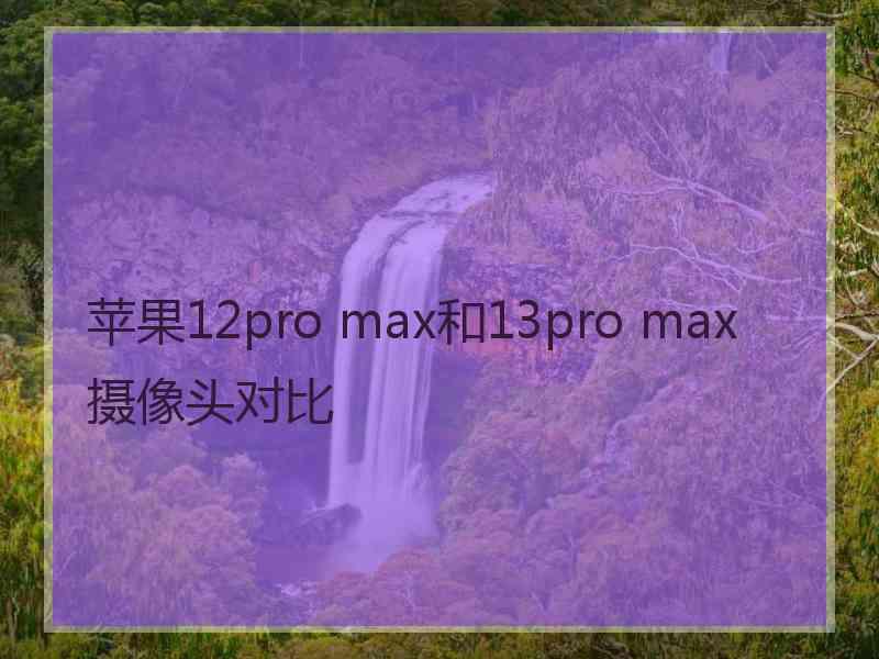 苹果12pro max和13pro max摄像头对比