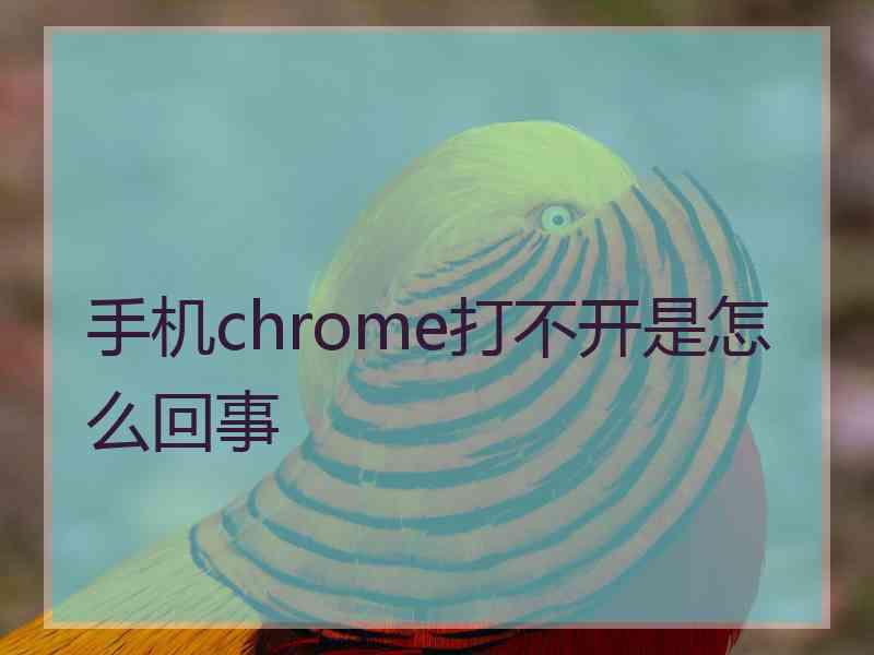 手机chrome打不开是怎么回事