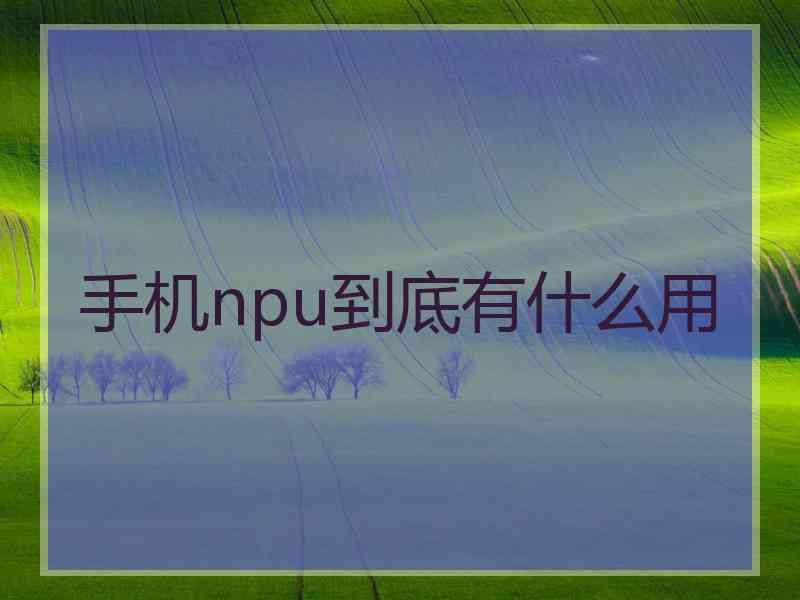 手机npu到底有什么用