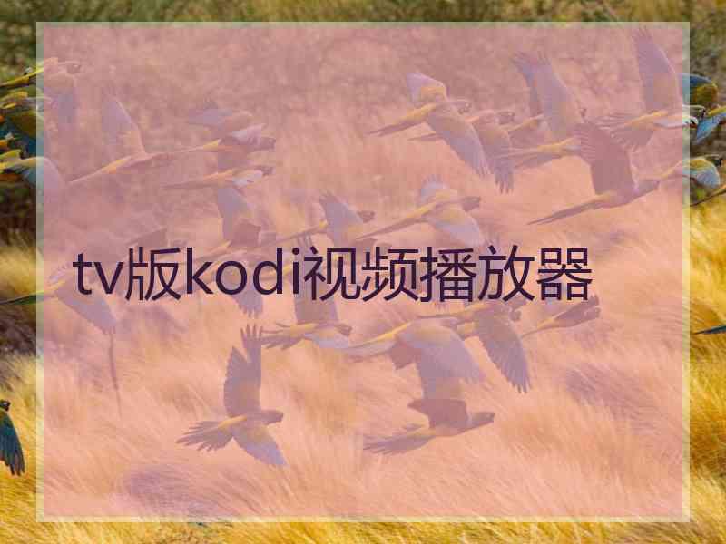 tv版kodi视频播放器