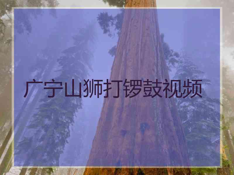 广宁山狮打锣鼓视频