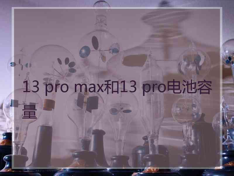 13 pro max和13 pro电池容量