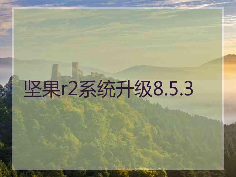 坚果r2系统升级8.5.3