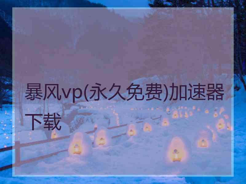 暴风vp(永久免费)加速器下载