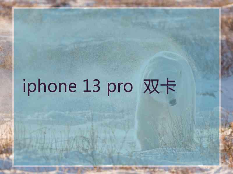 iphone 13 pro  双卡