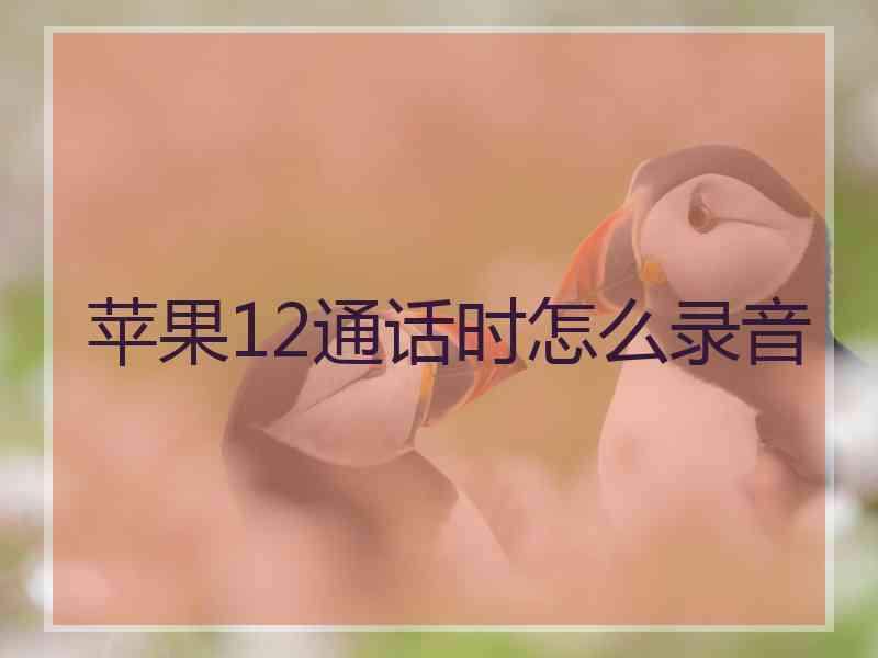 苹果12通话时怎么录音