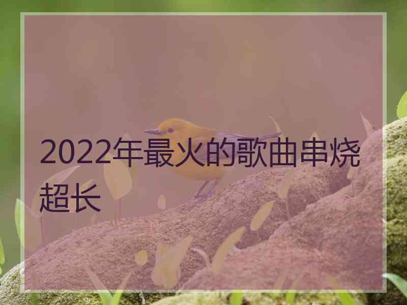 2022年最火的歌曲串烧超长