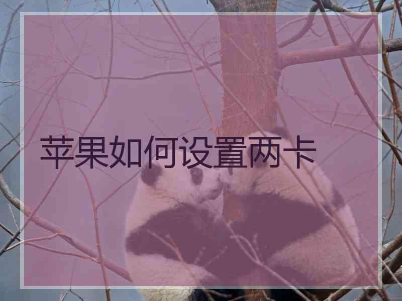 苹果如何设置两卡