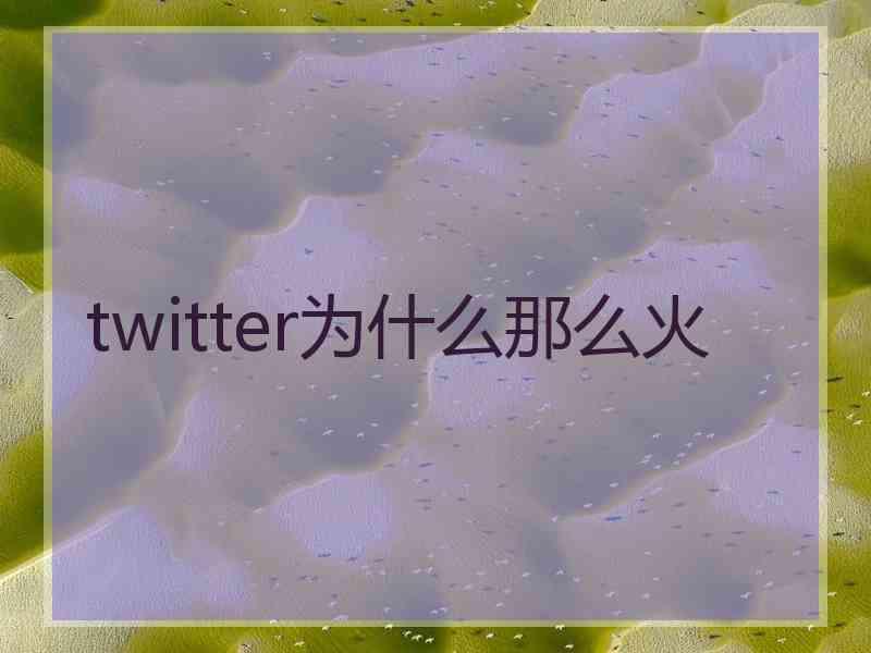 twitter为什么那么火