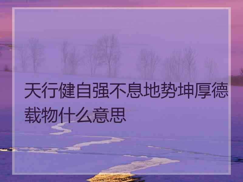 天行健自强不息地势坤厚德载物什么意思