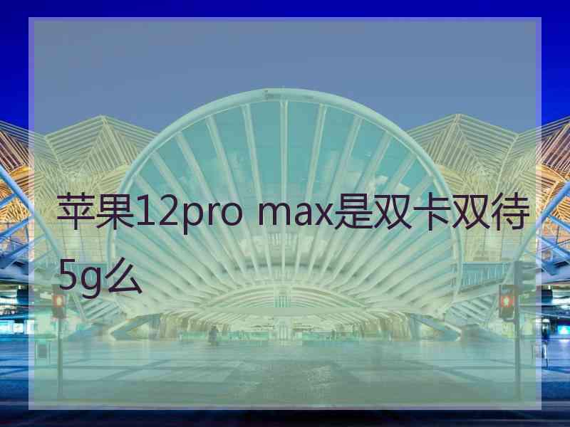 苹果12pro max是双卡双待5g么