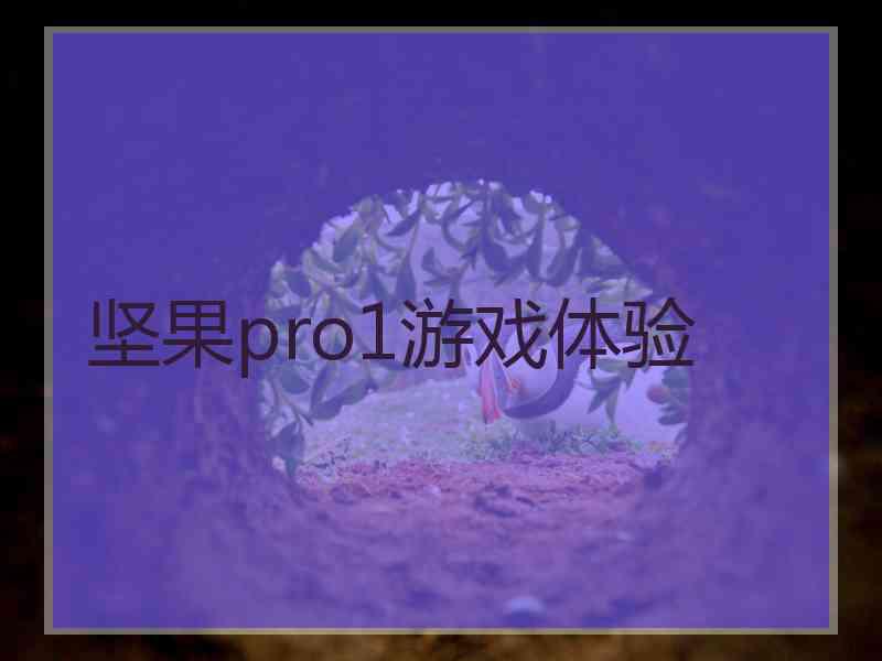 坚果pro1游戏体验