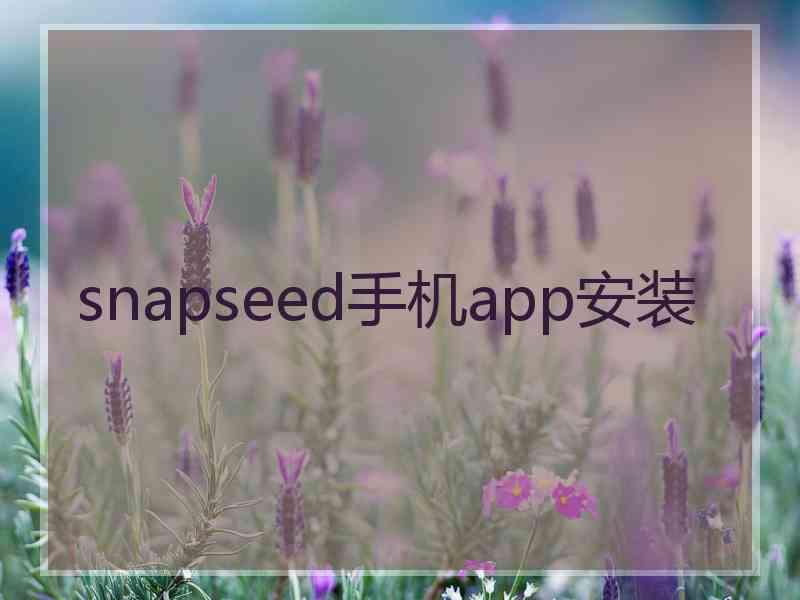 snapseed手机app安装