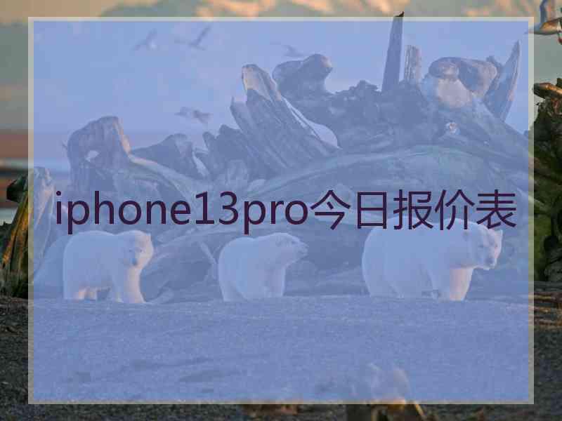 iphone13pro今日报价表