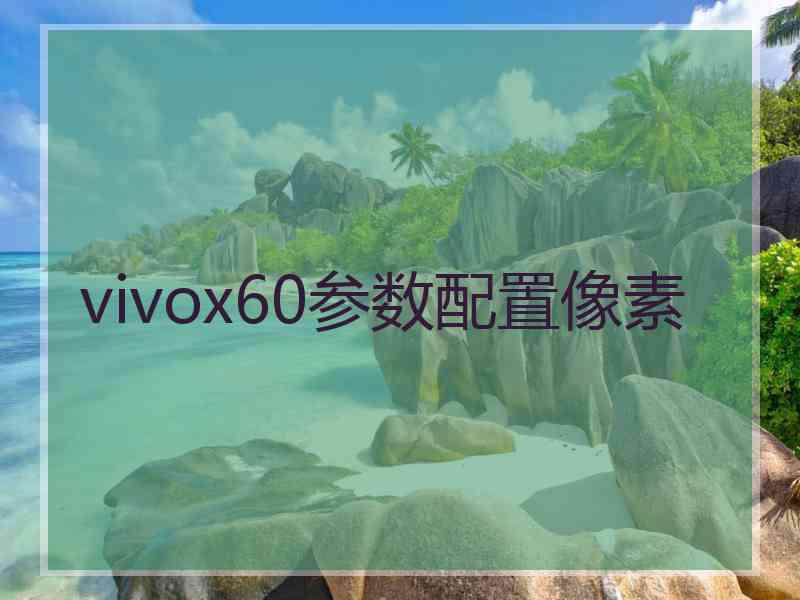 vivox60参数配置像素