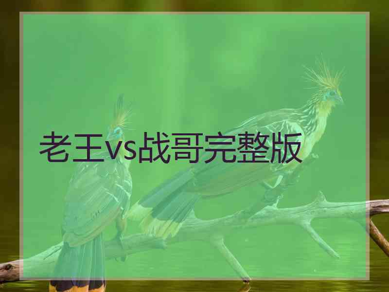 老王vs战哥完整版