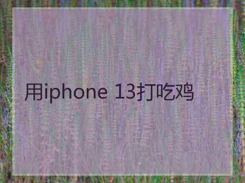 用iphone 13打吃鸡