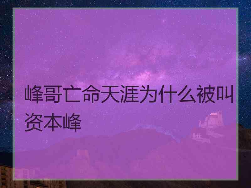 峰哥亡命天涯为什么被叫资本峰