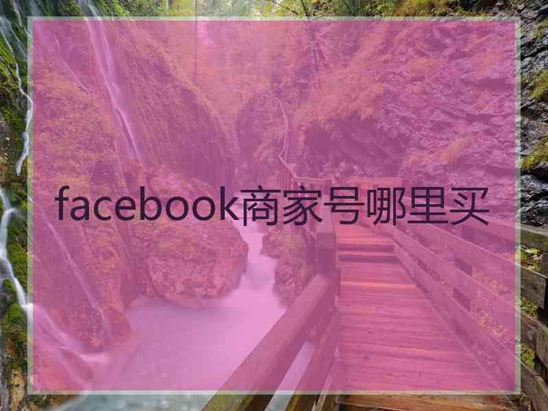 facebook商家号哪里买