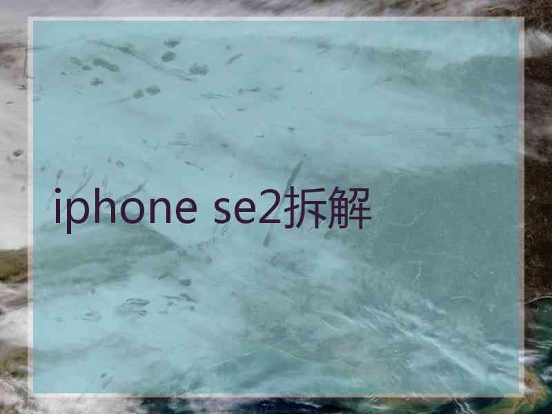 iphone se2拆解