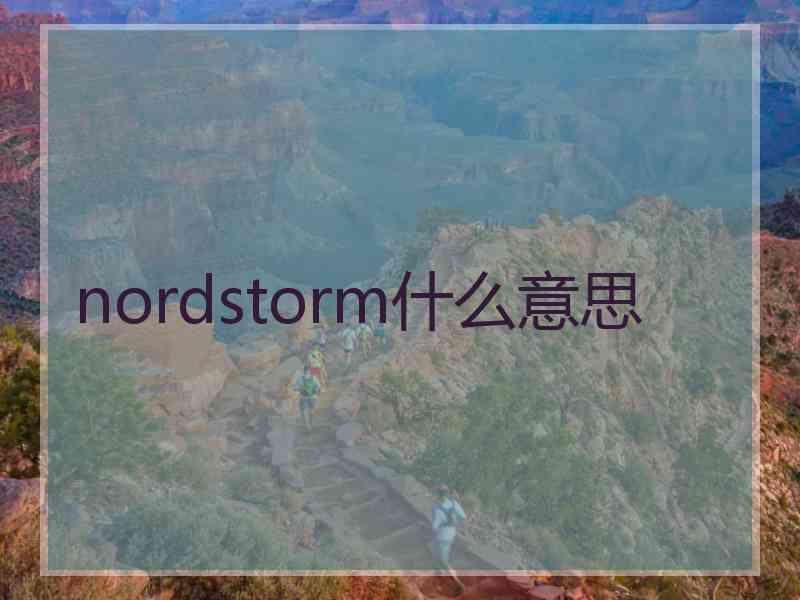 nordstorm什么意思