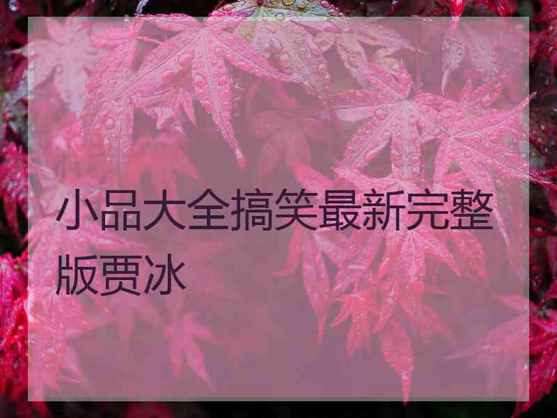 小品大全搞笑最新完整版贾冰