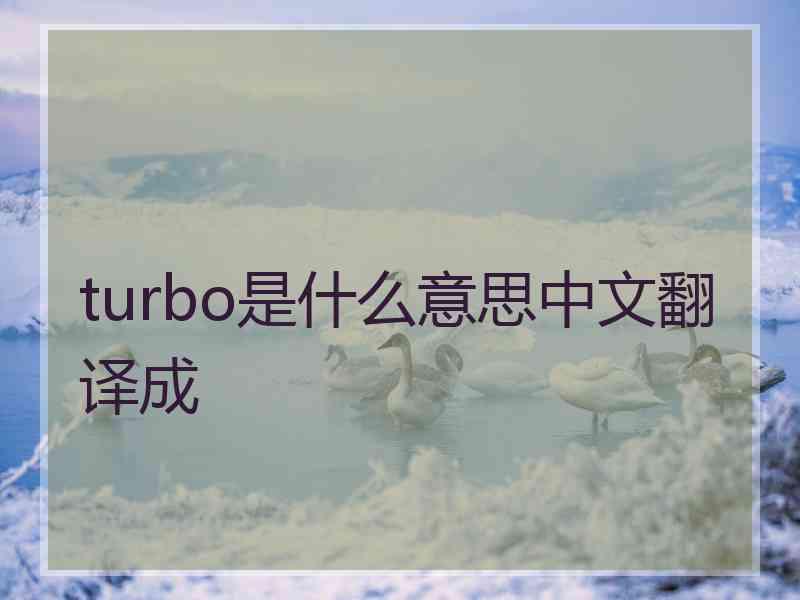 turbo是什么意思中文翻译成