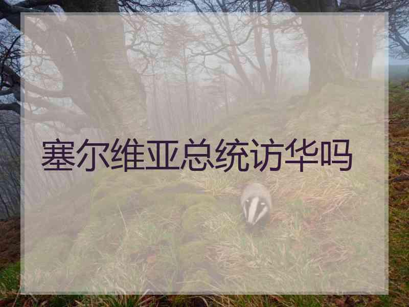 塞尔维亚总统访华吗