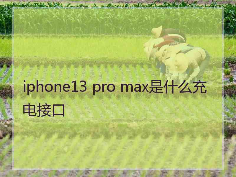 iphone13 pro max是什么充电接口