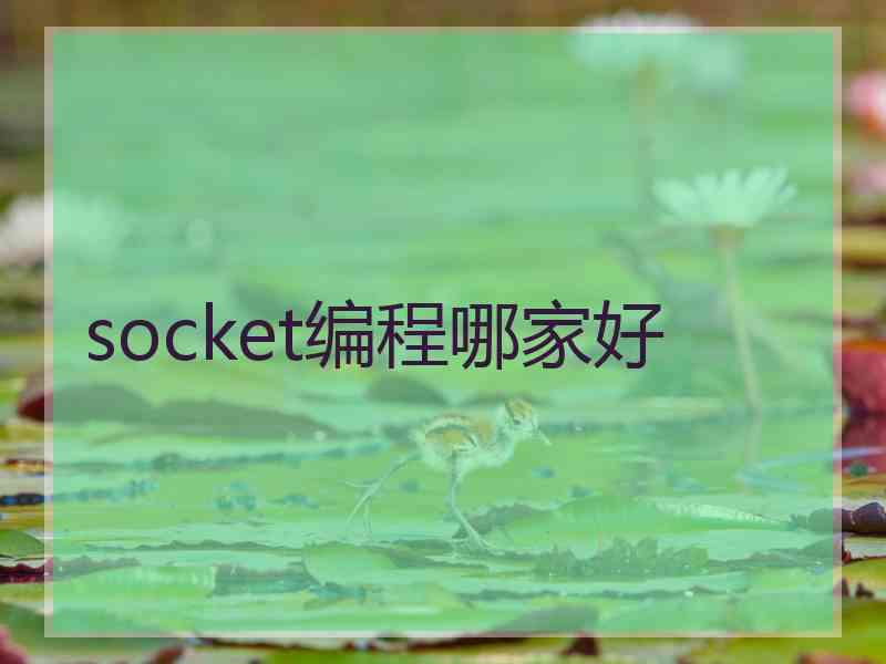 socket编程哪家好