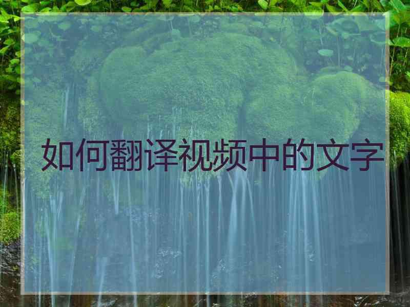 如何翻译视频中的文字