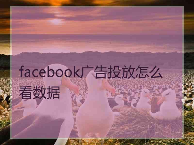 facebook广告投放怎么看数据