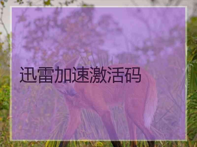 迅雷加速激活码