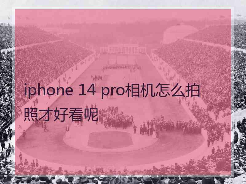 iphone 14 pro相机怎么拍照才好看呢