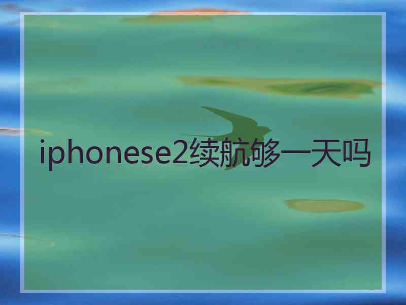 iphonese2续航够一天吗