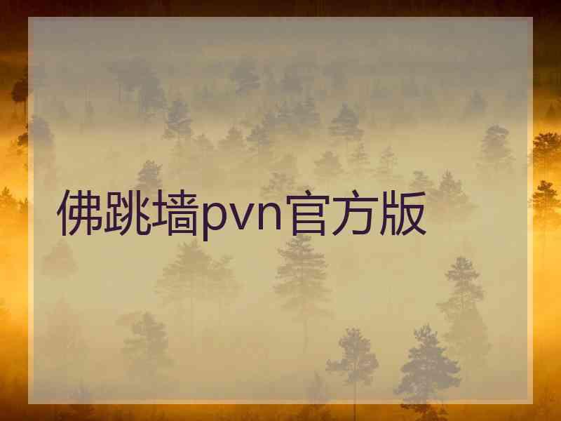 佛跳墙pvn官方版