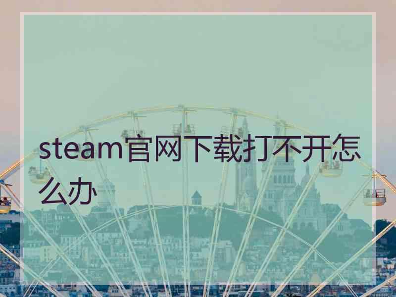 steam官网下载打不开怎么办