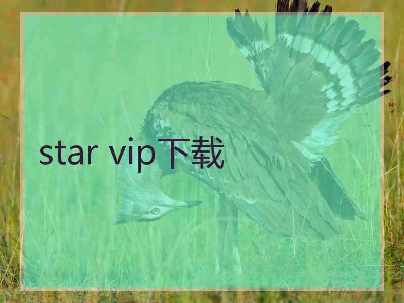 star vip下载