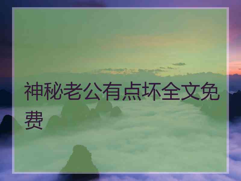 神秘老公有点坏全文免费