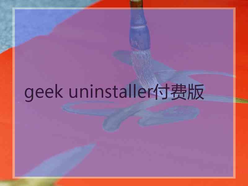 geek uninstaller付费版