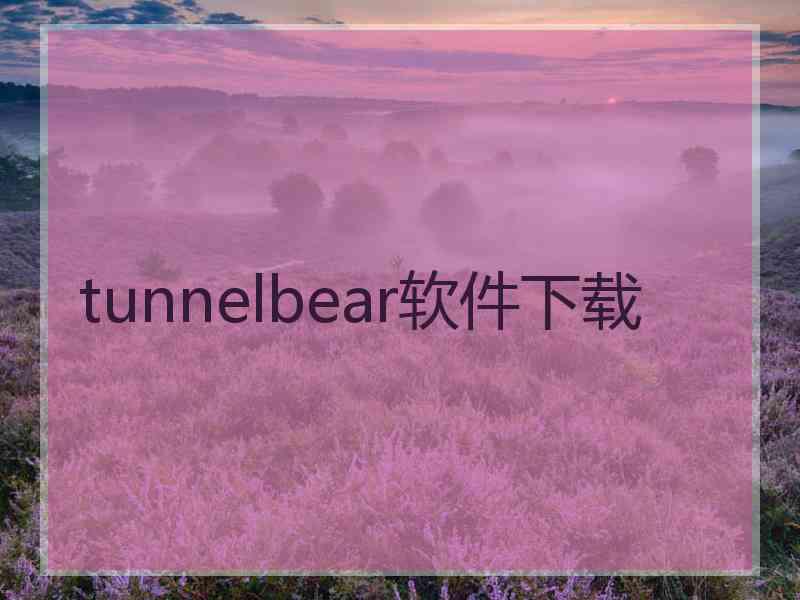 tunnelbear软件下载