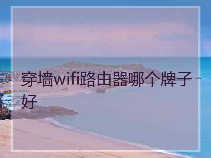 穿墙wifi路由器哪个牌子好