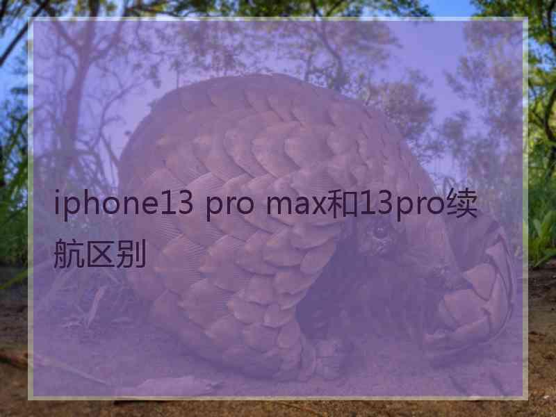 iphone13 pro max和13pro续航区别