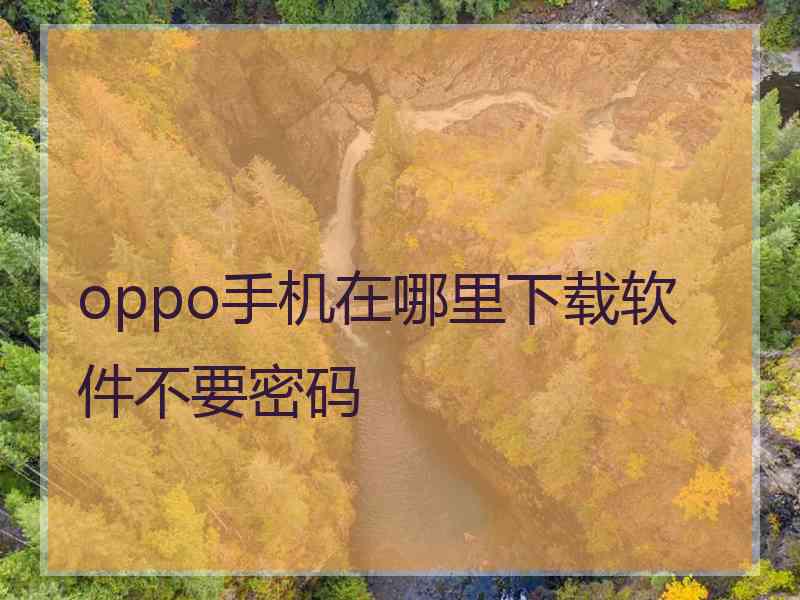 oppo手机在哪里下载软件不要密码