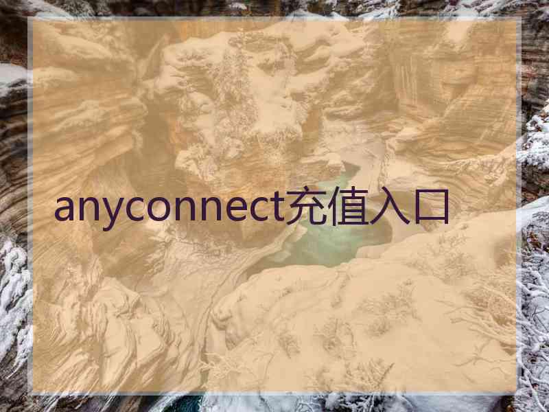 anyconnect充值入口