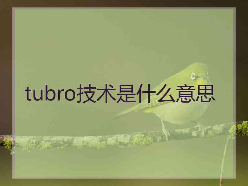 tubro技术是什么意思