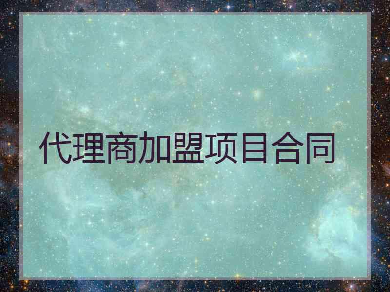 代理商加盟项目合同