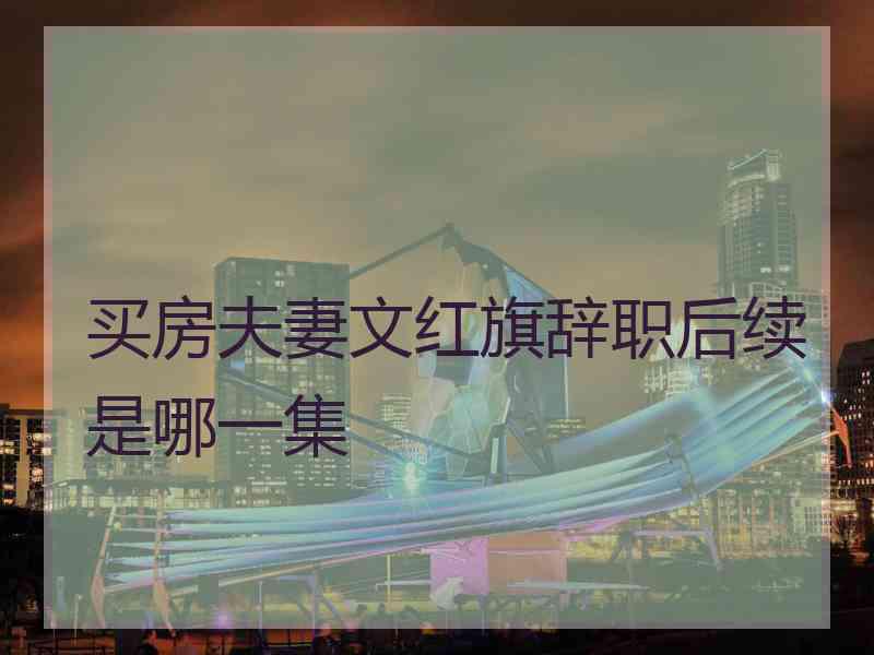 买房夫妻文红旗辞职后续是哪一集